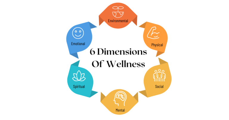 6 Dimensions of the Wellness
