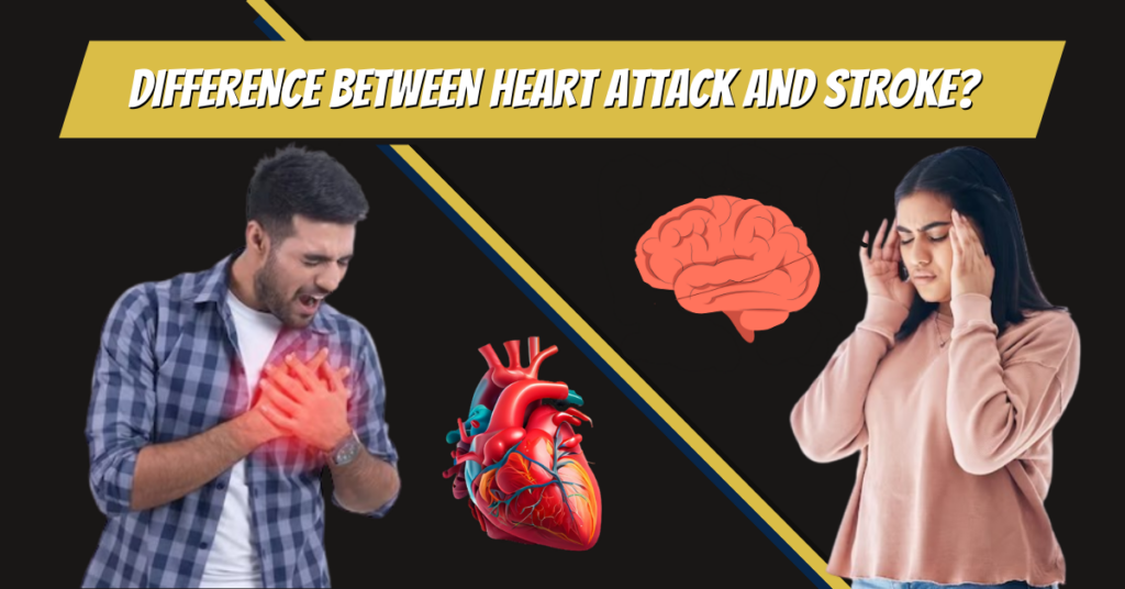 Difference Between Heart Attack and Stroke